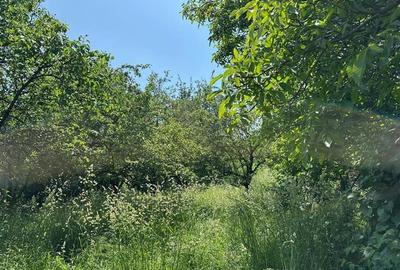 Teren 1060 MP, in Gheorghieni, la strada principala - 1