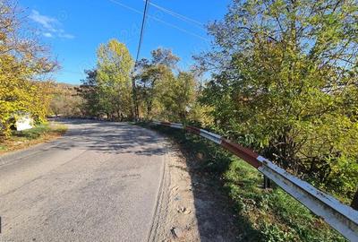 Teren de 5404 mp, în Vernești - 7