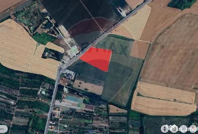 Teren de 20561 mp, în Salonta - 14