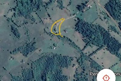 Teren de 3200 mp, în Dâmbovicioara - 8