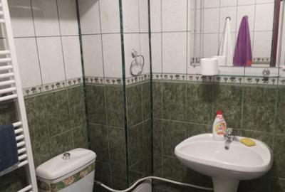 Garsoniera 41 mp + 24 mp curte, mobilata, parter, Gradina Bo Garsoniera 41 mp + 24 mp curte, mobilata, parter, Gradina Bo - 10