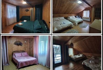 Casă cu 4 camere în Valea Doftanei - 4