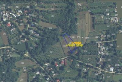 Teren de 1918 mp, în Ungheni - 10