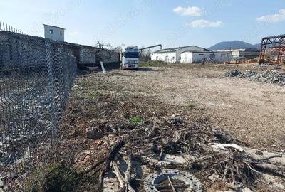 Teren de 1800 mp, în Cătălina - 3