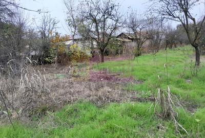 BARCANESTI -  casa +curte+teren 16k mp - 58