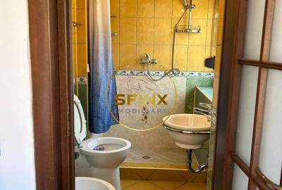 Vatra Luminoasa, bohemian 3 room duplex with sauna, near the park, pet friendly - 8