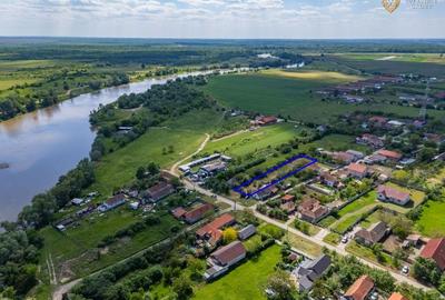 Teren intravilan de vanzare in Mandruloc - 19