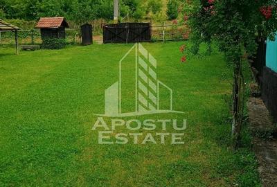 Casa bătrânească de vânzare | 4 camere | Hunedoara | Micănești - 5