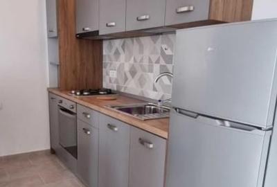 Apartament 2 camere de inchiriat - 4