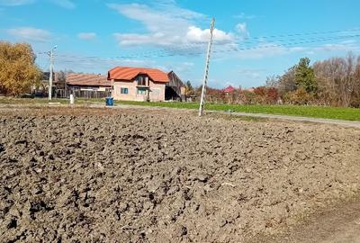 1853 m2 la 14 km de Brasov in Lunca Calnicului - 3