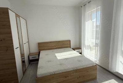 Apartament cu 2 camere decomandat în Timișeni - 2