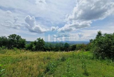 Teren de 5143 mp, în Baia Sprie - 7