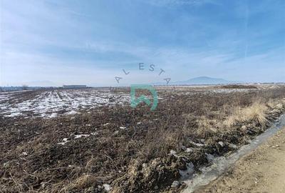 Teren Construcții intravilan de 10480 mp, în Periferie - 5