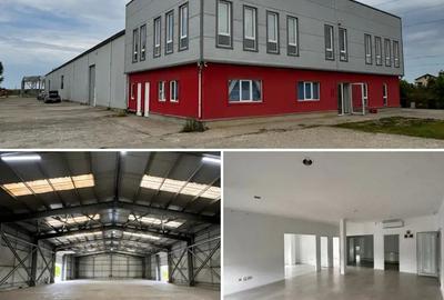 Inchiriez Hala 700mp + 130mp birouri Manolache - Ilfov A0-A2-DnCB - 1