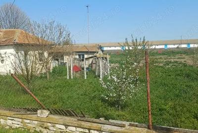 Spațiu comercial, în Baia - 3