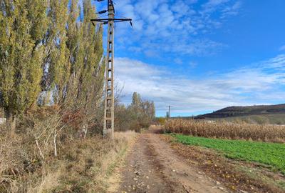 Teren de vânzare - Viile Sibiului, Sibiu, 5000 m² - 3