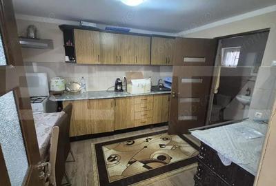 Casa cu 2 camere, 65 mp, teren 2910 mp, in Viile Satu Mare - 11