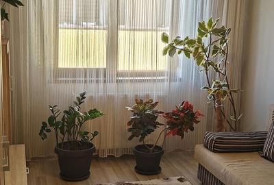 Apartament cu 2 camere decomandat, mobilat în Alfa - 5