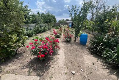 Casă cu 3 camere în Central - 3