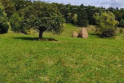 Teren de 11000 mp, în Valea Doftanei - 2