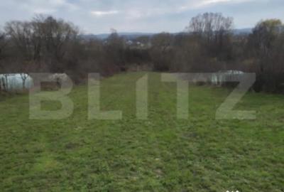 Teren de 3000 mp, în Plopu - 2