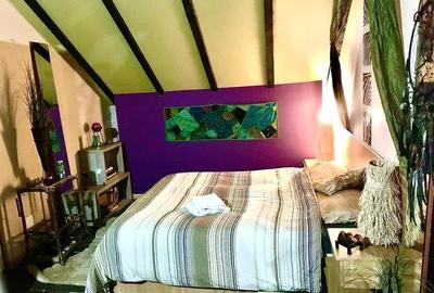 FILM! In Bohemian Style, loc parcare, curte proprie,vedere panoramica, Cartiieru - 17