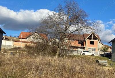 Spațiu comercial, în Șura Mare - 1