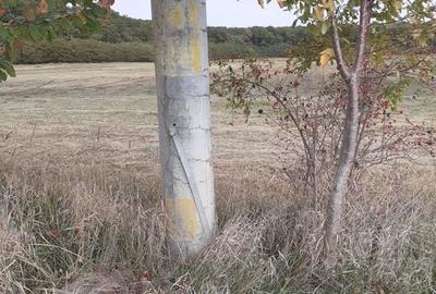 Teren intravilan inconjurat de padure - Ciofliceni, Snagov - 11