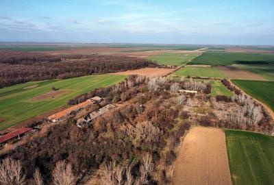 Ferma si livada de meri in judetul Ilfov - 17