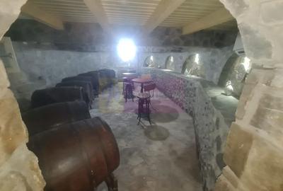 Vila de vanzare in Campina - Zona Lunca Mare - 39