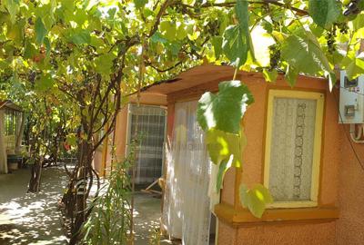 Casa 5 camere, teren 368 mp, deschidere 13 m, Brailita - 3