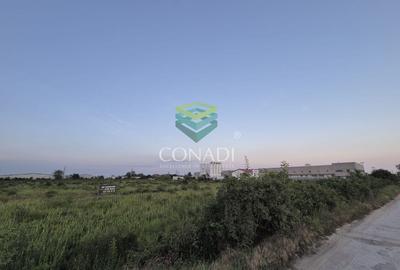 Teren Construcții intravilan de 23943 mp, în Clinceni - 3