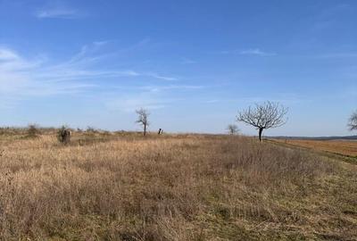 Teren de 6707 mp, în Cetariu - 8