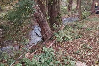 Casă cu 2 camere în Bratca - 1