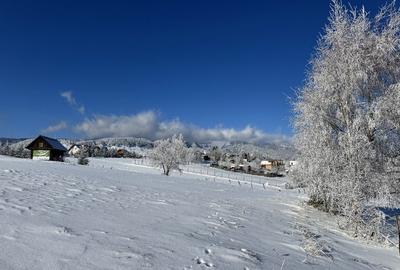 Teren satul Sirnea, intravilan, deschidere 120 m la drum asfaltat, - 10