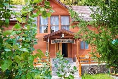 De Vanzare Pensiune Rustica De Vis Pe Ruta Leresti-Voina - 4