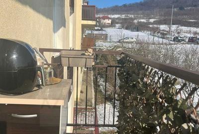Apartament cu 2 camere, mobilat în Gușterița - 5