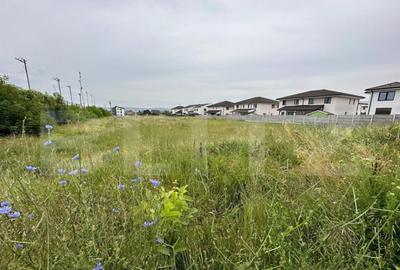 Teren intravilan, 7441mp, zona Lidl Cetate - 1