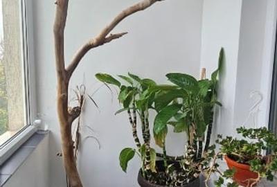 Apartament de vânzare – Zona Badea Cârțan - 6