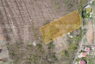 Teren Intravilan 10.046 mp, zona Cetate - 1