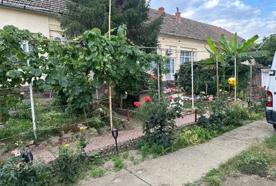 Casa de vanzare sandra - 3