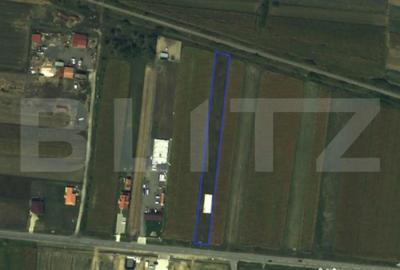 Teren în Odoreu - 1