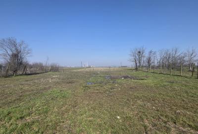 Spațiu comercial, în Rovine - 4