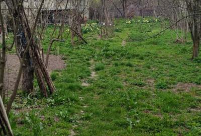 Casă cu 4 camere cu Teren 2000 Mp în Bujoreni - 6