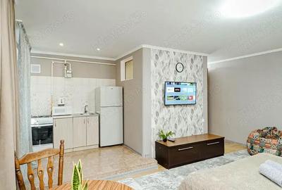 Apartament cu 2 camere decomandat în Gorjului - 4