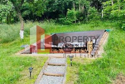 Vilă in Bran cu teren de 28.000 mp și priveliște spectaculoasa - 29