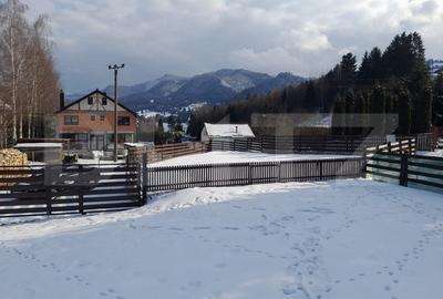 Cabana cu vedere la lac, 1800 mp teren, la Colibita -sau schimb! - 8