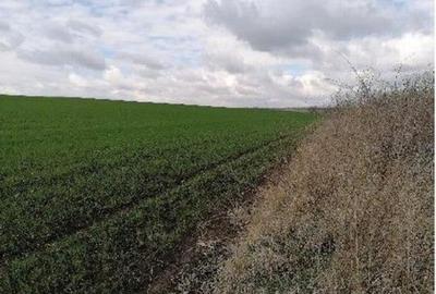 Teren extravilan Tiganasi, cota parte 1/5, ID: R2822453 - 2