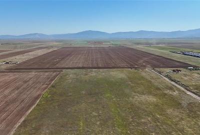 Investitia ideala - 92.700 mp - Teren cu potential major-Izvor, Brasov - 9