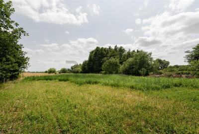 RECO Casa de Ineu - 13